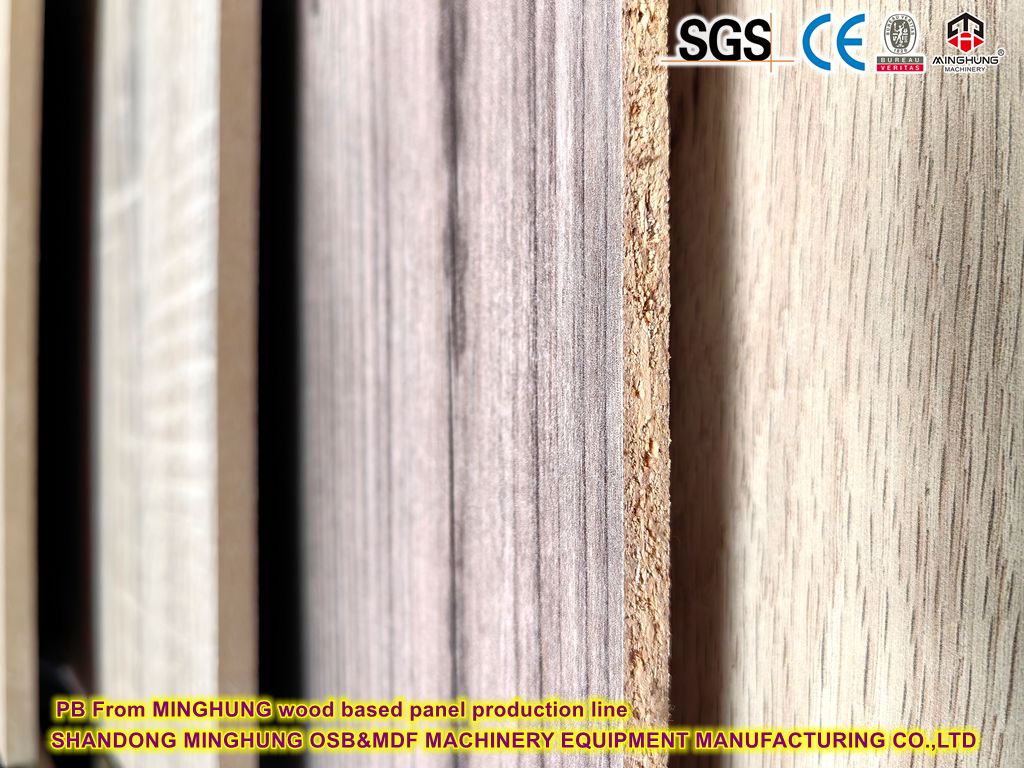 PB Van MINGHUNG productielijn voor houten panelen