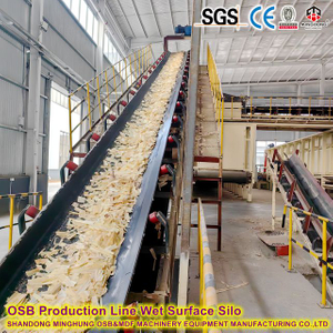 Mesin Produksi Panel Bamboo OSB (BOSB) untuk Pasar India