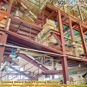 OSB estructural anual de 500000 m&sup3; para construcci&oacute;n 18-22 mm